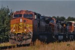 BNSF 4646 East